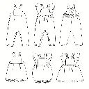 Ikatee - Patron Couture Bébé Combinaison, Barboteuse et Robe "Faro" du 1 mois au 4 ans 17.webp