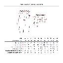 Ikatee - Patron Couture Femme Pantalon et Short "Berlin" du 32 au 52 2.webp