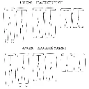 Ikatee - Patron Couture Femme Legging et Jegging "Seattle" du 32 au 52 15.webp