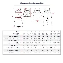 Ikatee - Patron Couture Enfant Blouse et Robe "Zanzibar Kids" du 3 au 12 ans 2.webp