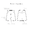 Christine Charles – Kit Couture Jupe Ambrosia Couleur Rouge Vif 1.webp