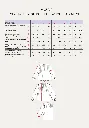Maison Fauve "Missive" - Patron Couture Femme Blouse du 34 au 52 3.png.webp