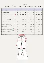 Maison Fauve "Synopsis" - Patron Couture Femme Bermuda du 34 au 52 2.png.webp