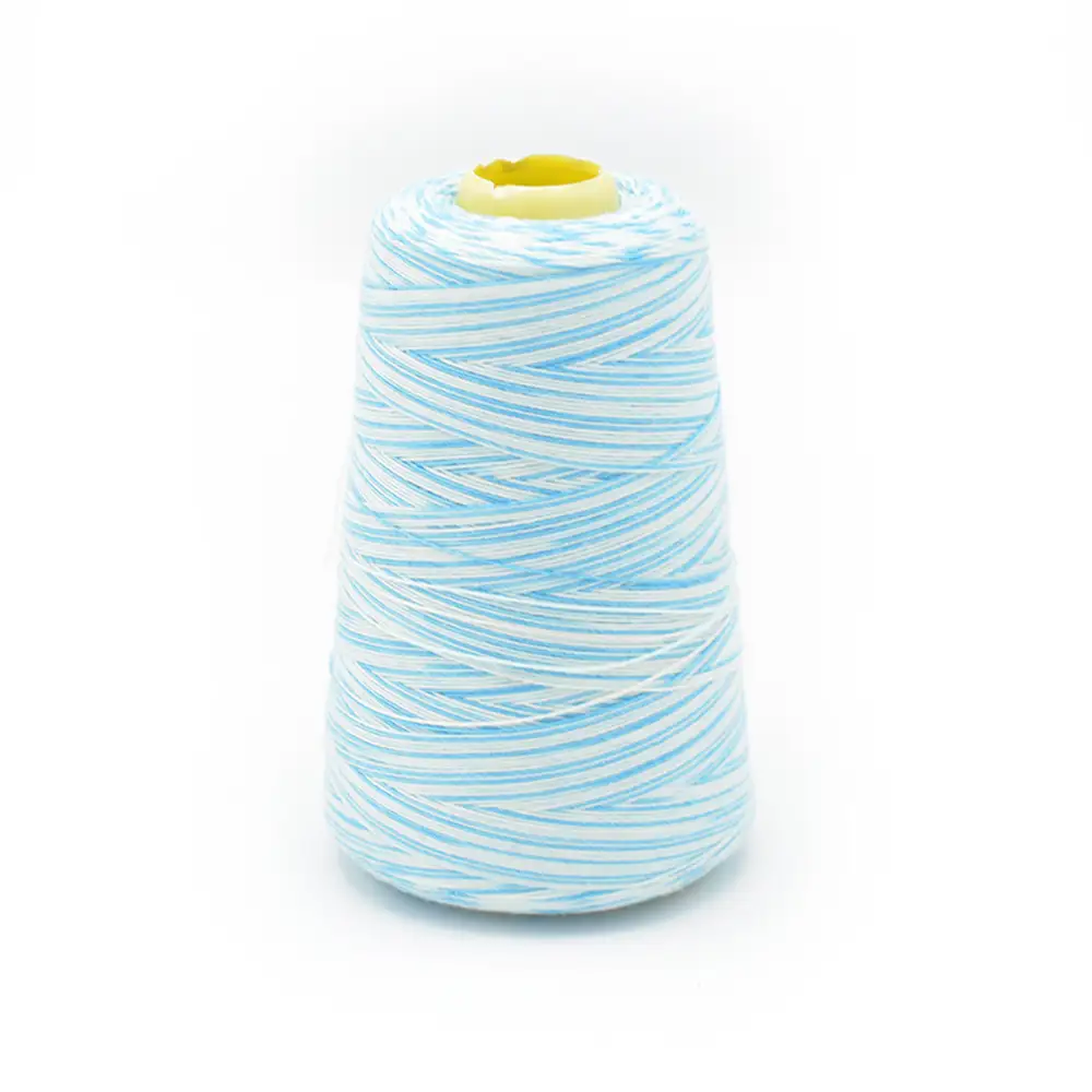 Sélection Coup de coudre – Cône Fil Surjeteuse Multicolore (2 743 m)